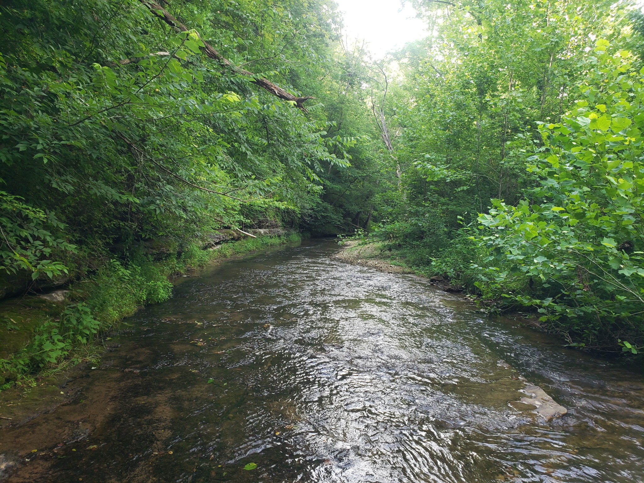 0 Masters Road Cookeville, TN 38506 - Photo 23 of 47 Gallery Image 23