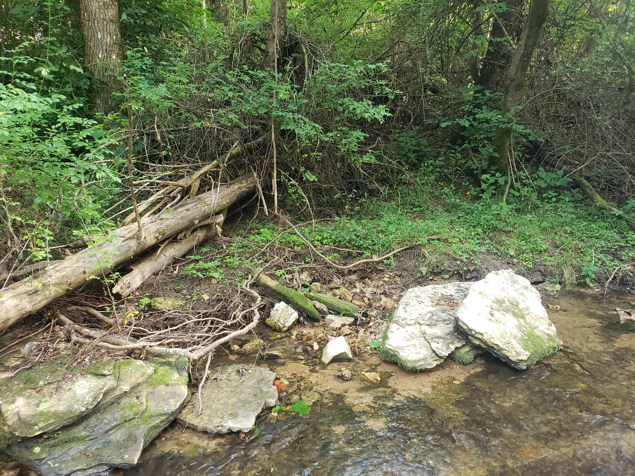 0 Masters Road Cookeville, TN 38506 - Photo 25 of 47 Gallery Image 25