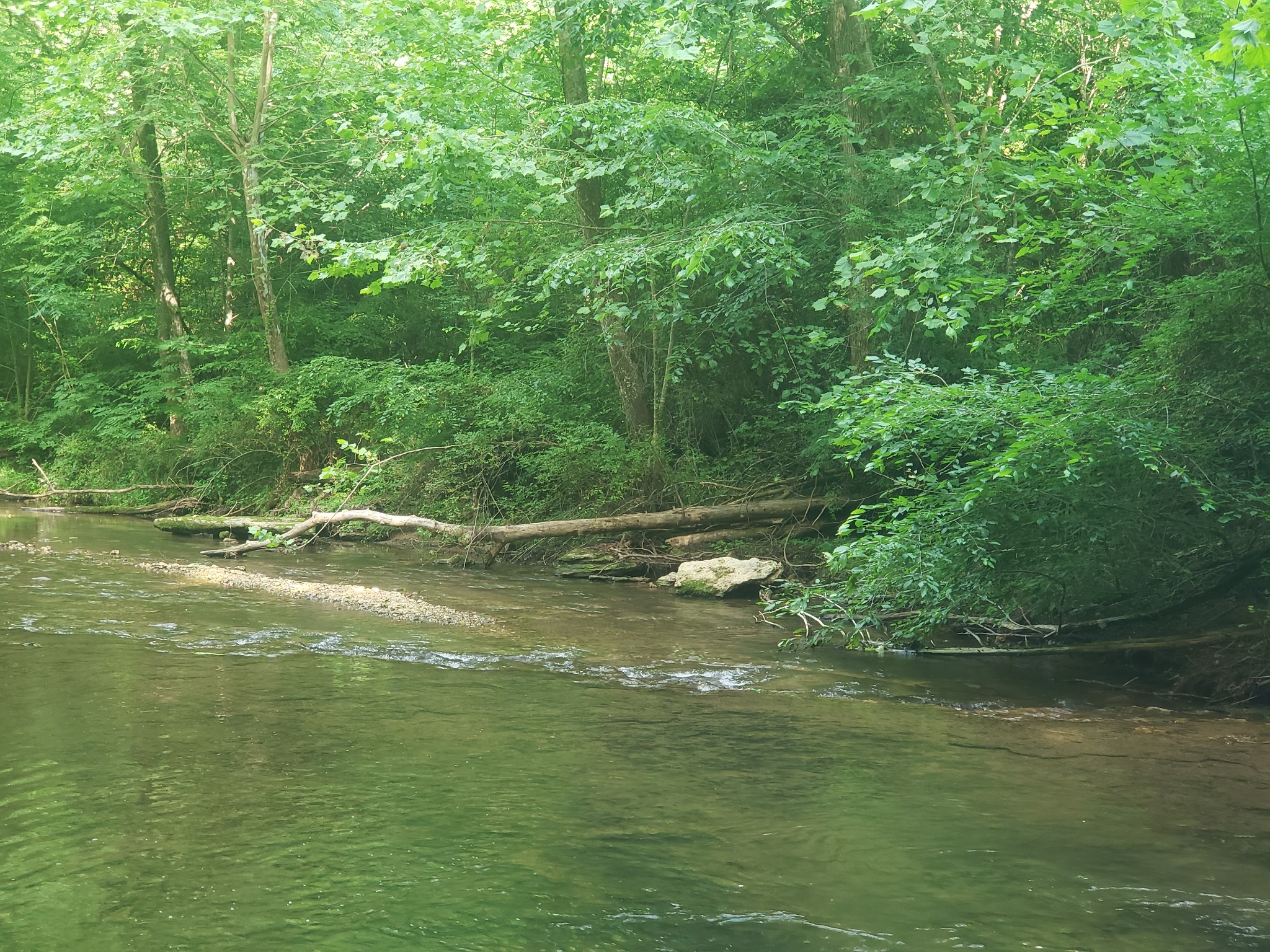 0 Masters Road Cookeville, TN 38506 - Photo 26 of 47 Gallery Image 26