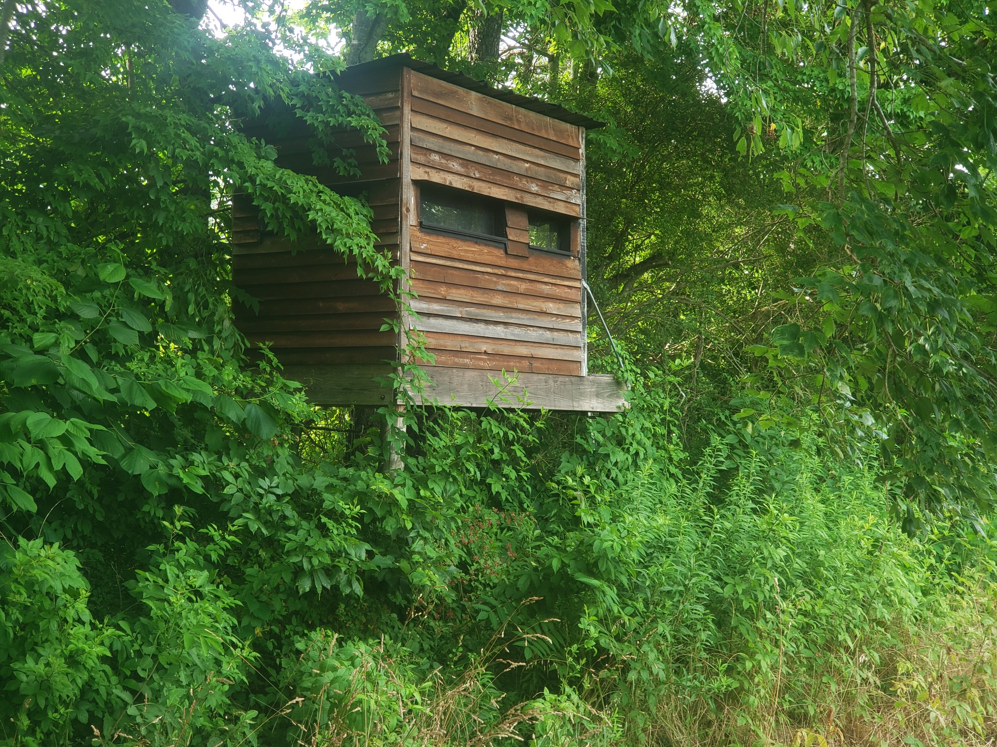 0 Masters Road Cookeville, TN 38506 - Photo 27 of 47 Gallery Image 27