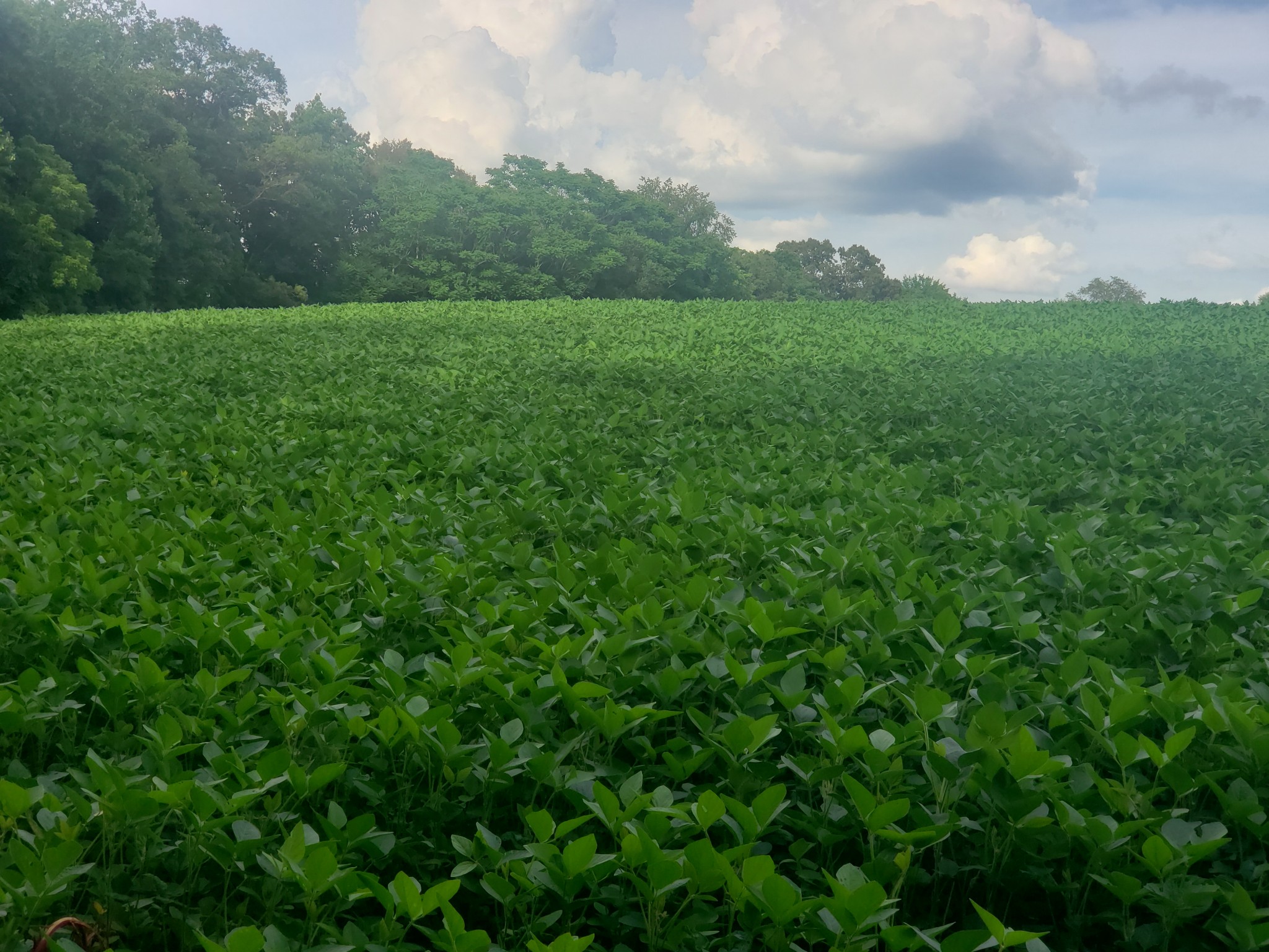 0 Masters Road Cookeville, TN 38506 - Photo 28 of 47 Gallery Image 28