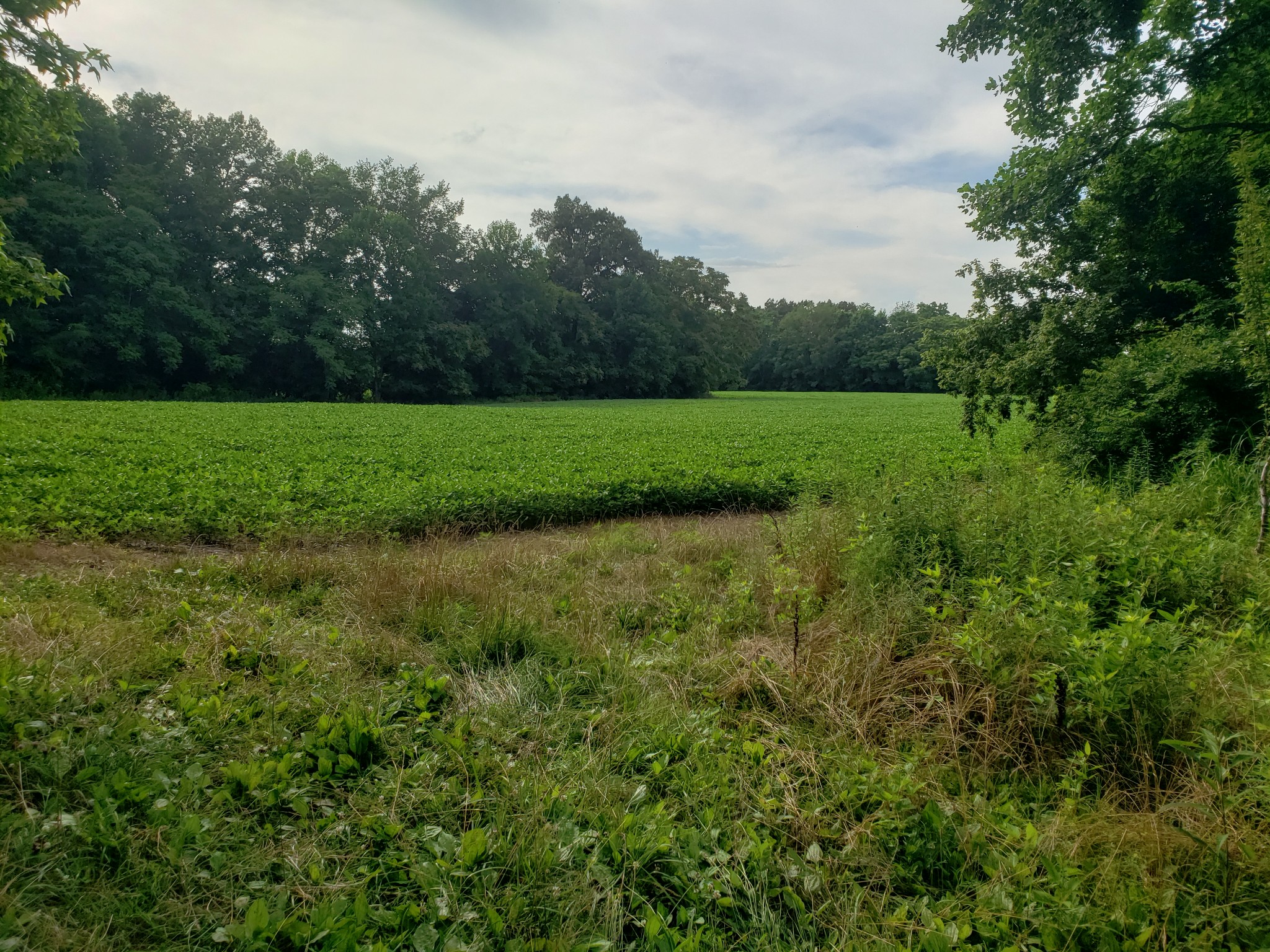 0 Masters Road Cookeville, TN 38506 - Photo 31 of 47 Gallery Image 31