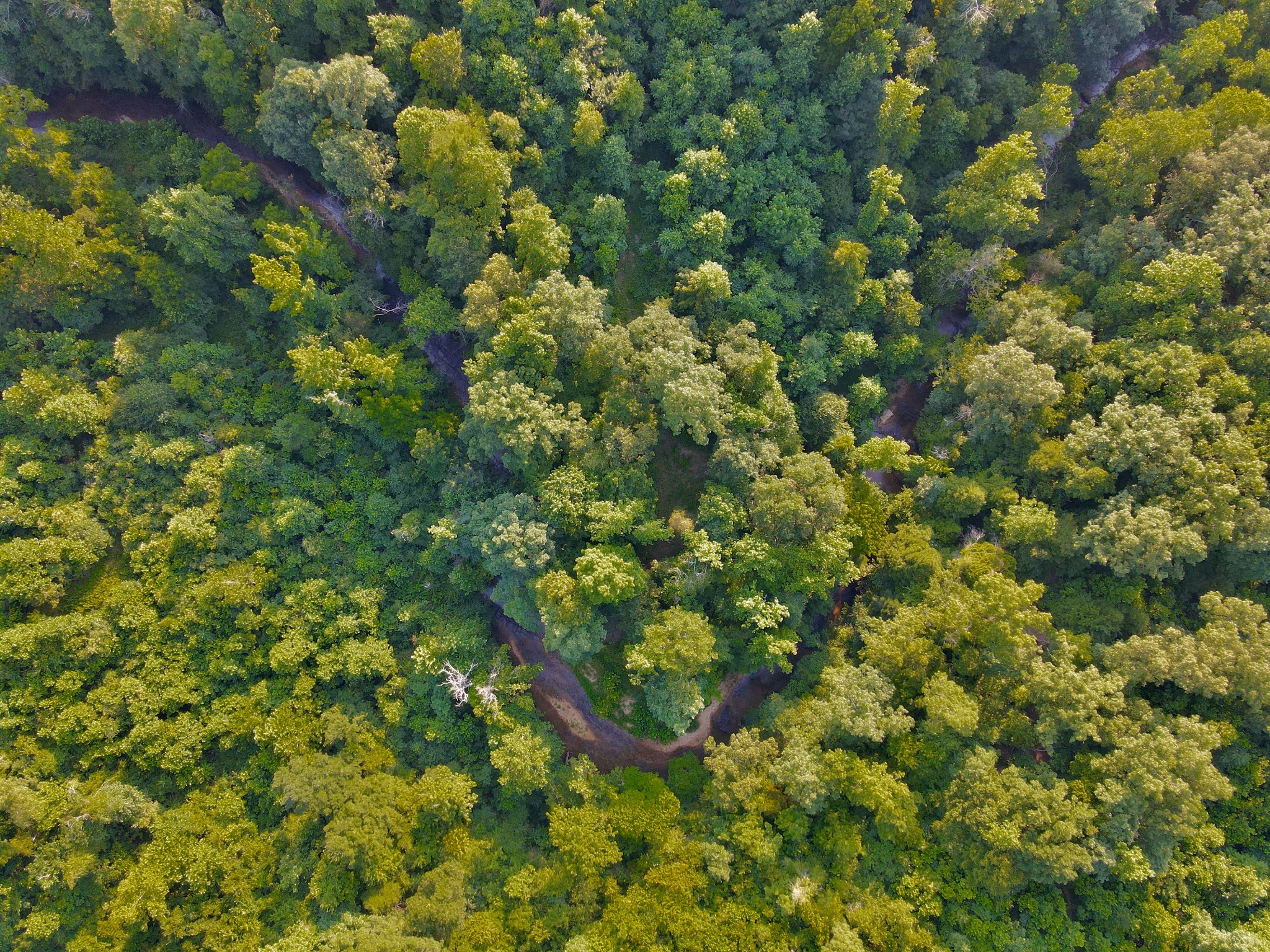 0 Masters Road Cookeville, TN 38506 - Photo 33 of 47 Gallery Image 33
