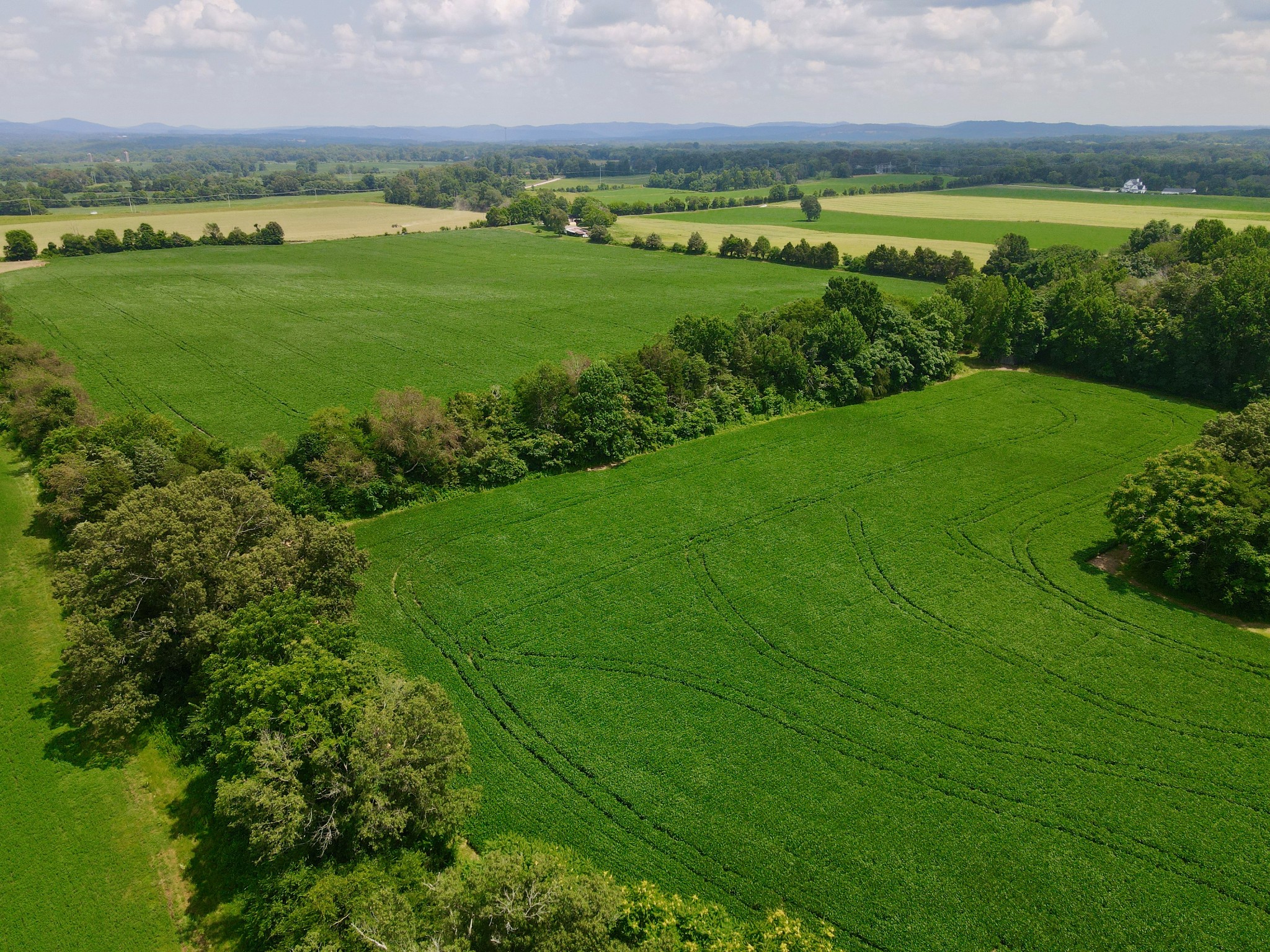 0 Masters Road Cookeville, TN 38506 - Photo 38 of 47 Gallery Image 38