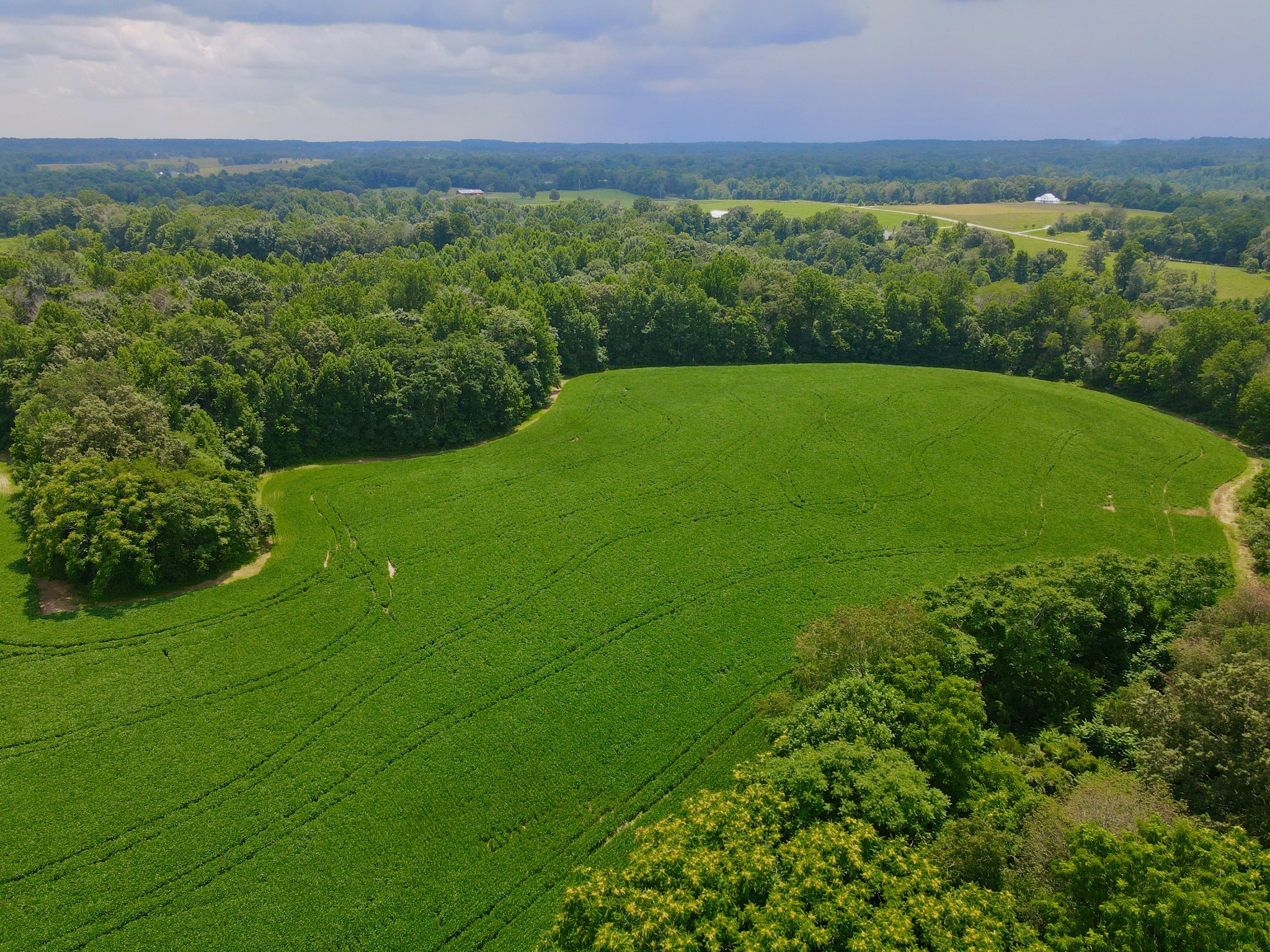 0 Masters Road Cookeville, TN 38506 - Photo 39 of 47 Gallery Image 39