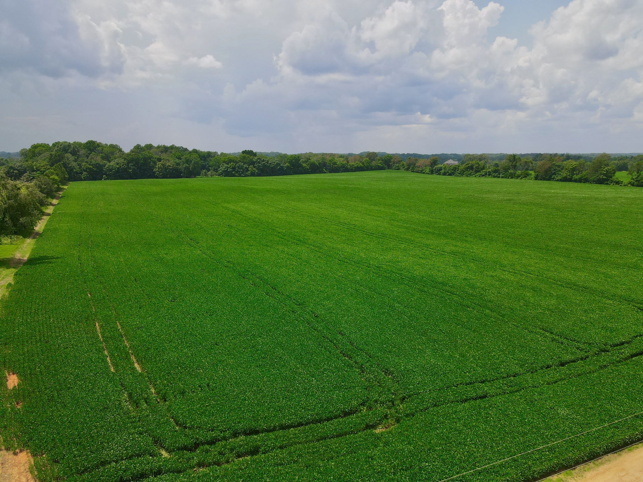 0 Masters Road Cookeville, TN 38506 - Photo 41 of 47 Gallery Image 41