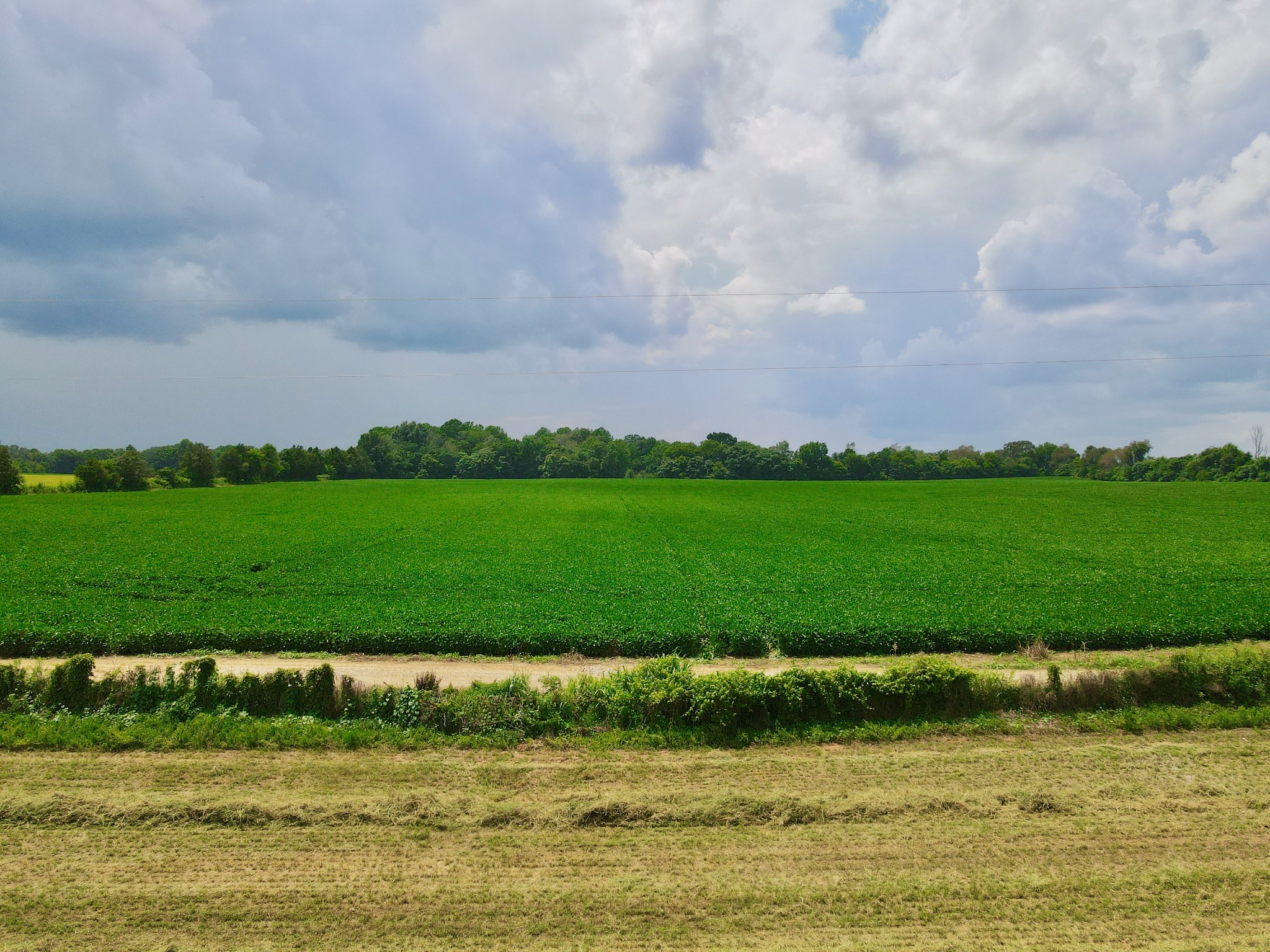 0 Masters Road Cookeville, TN 38506 - Photo 42 of 47 Gallery Image 42