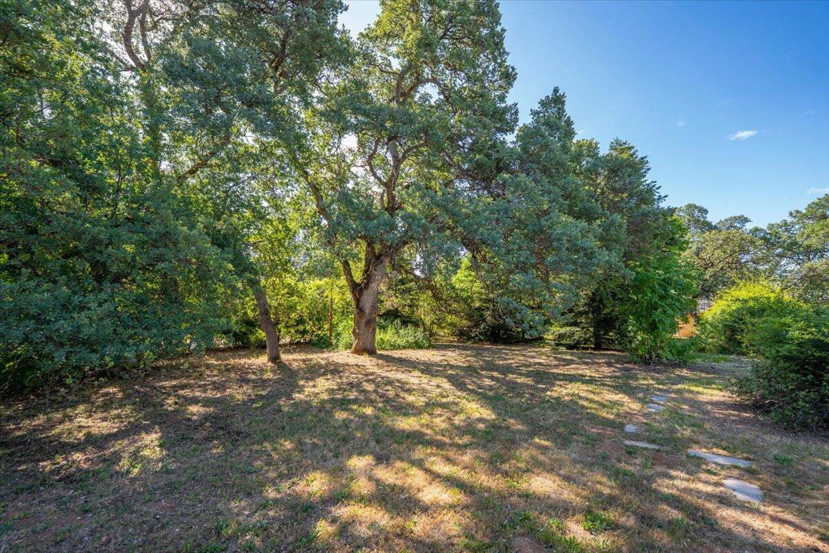 21880 Oak Meadow Road Palo Cedro, CA 96073 - Photo 41 of 79 3.3 level acres