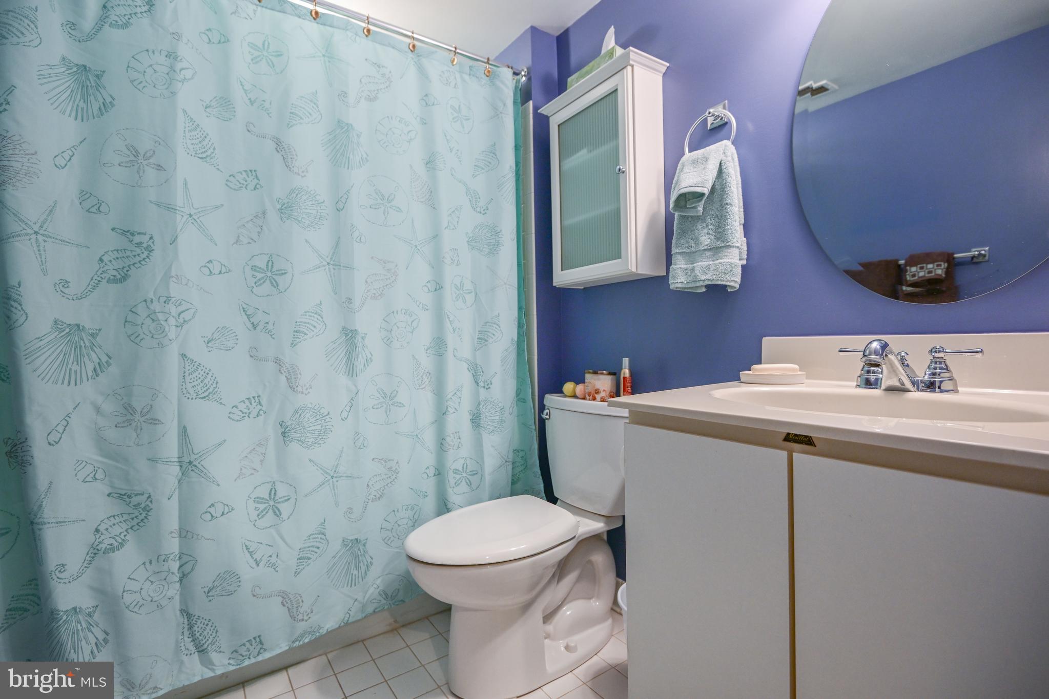117 Castletown Road, Unit 301 Lutherville-Timonium, MD 21093 - Photo 21 of 23 2nd bathroom