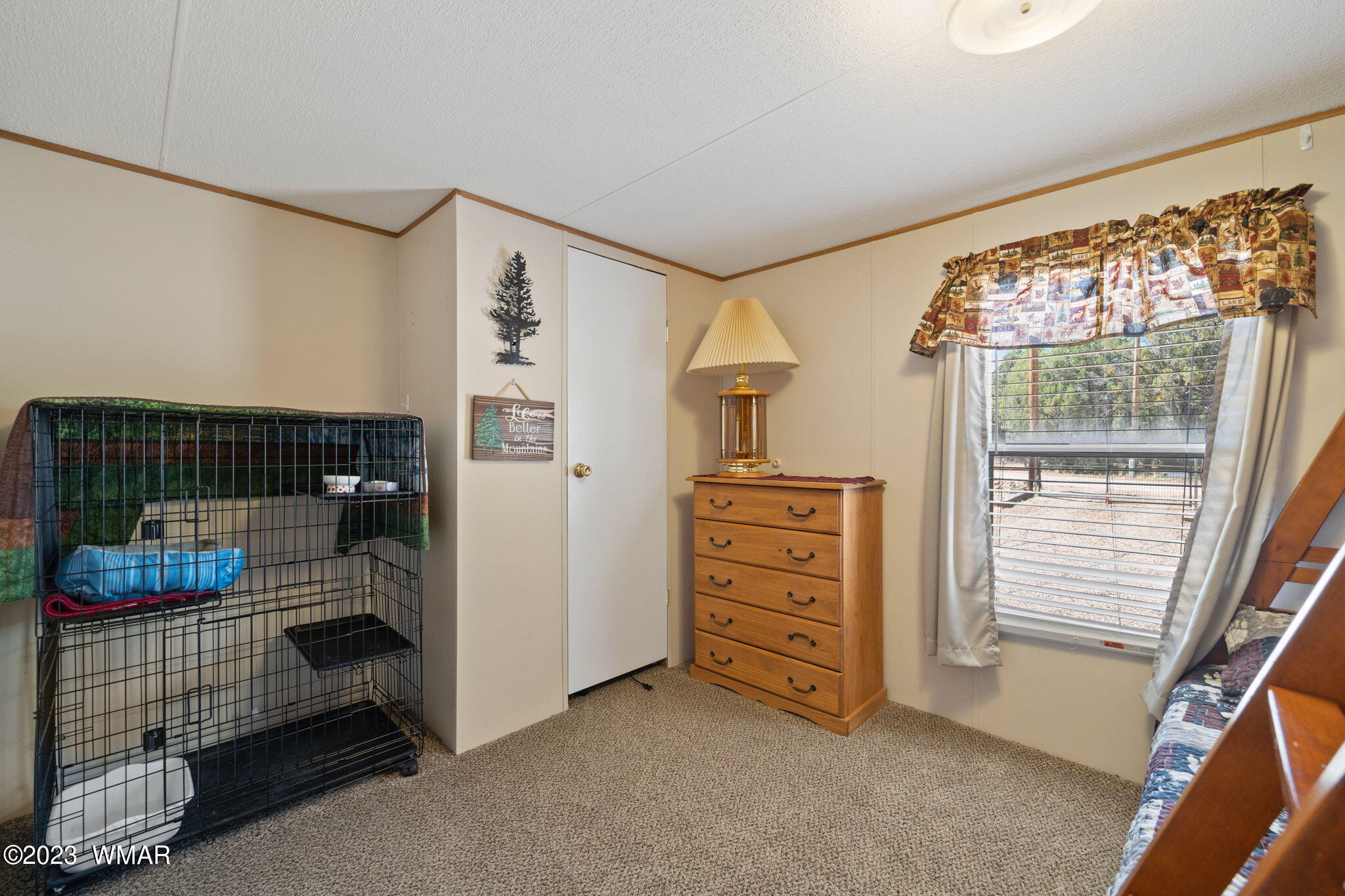 2135 Fishermans Road Overgaard, AZ 85933 - Photo 13 of 24