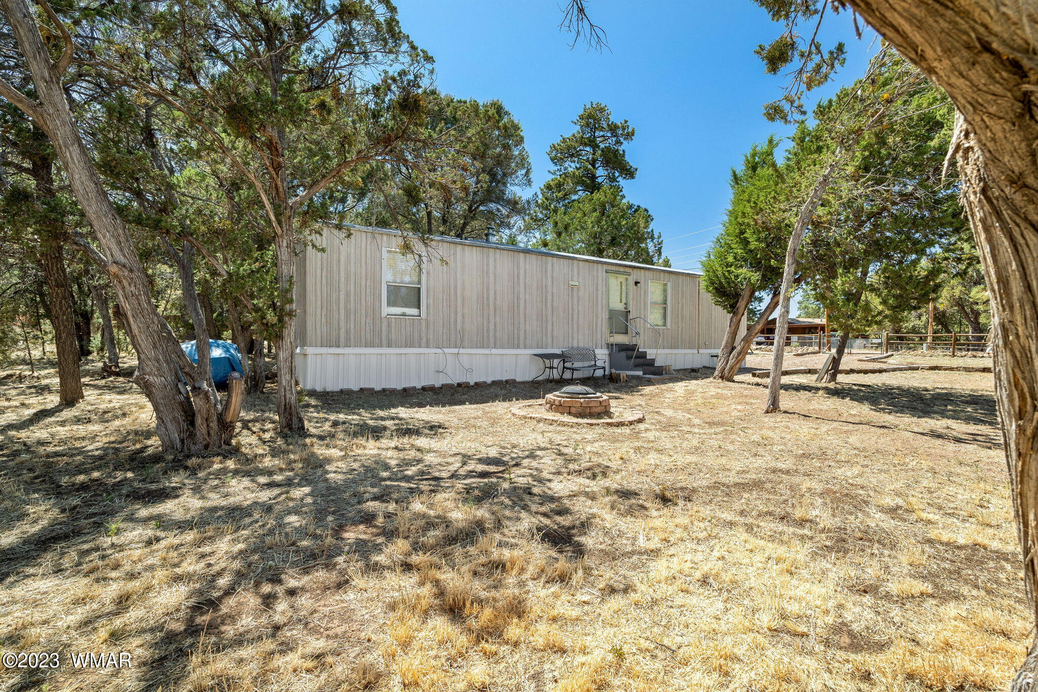2135 Fishermans Road Overgaard, AZ 85933 - Photo 3 of 24