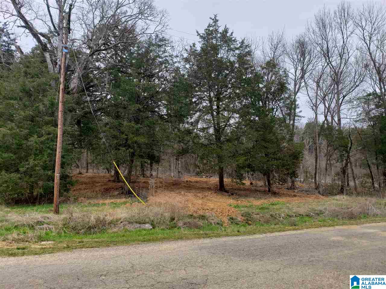 0 Remlap Drive, Unit 1 Remlap, AL 35133 - Photo 6 of 11