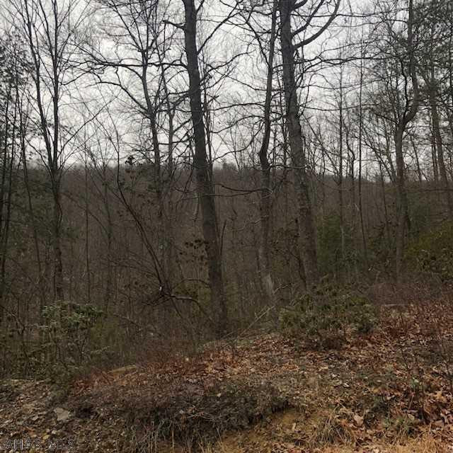 Off Magnet Road Bedford, PA 15522 - Photo 1 of 1 Gallery Image 1