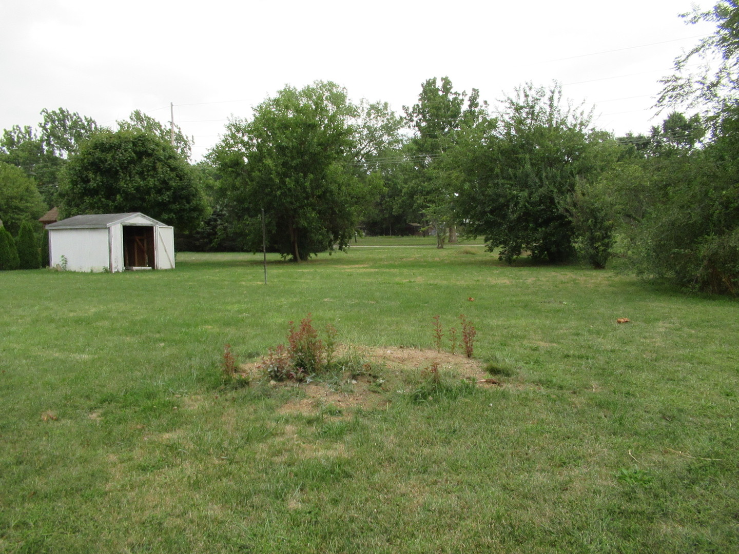 1563 South Pointe Drive Rantoul, IL 61866 - Photo 3 of 15 a view of a backyard