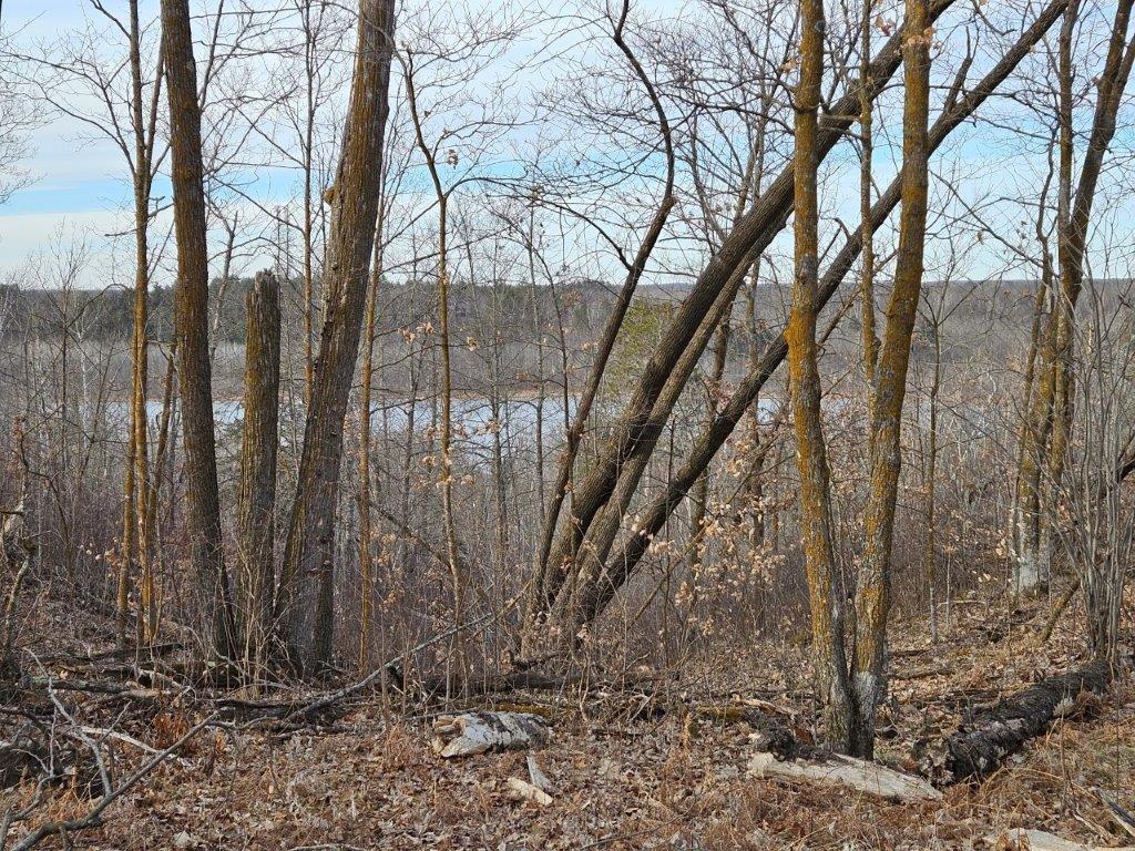 Tbd 346th Street Bagley, MN 56621 - Photo 1 of 1 Gallery Image 1