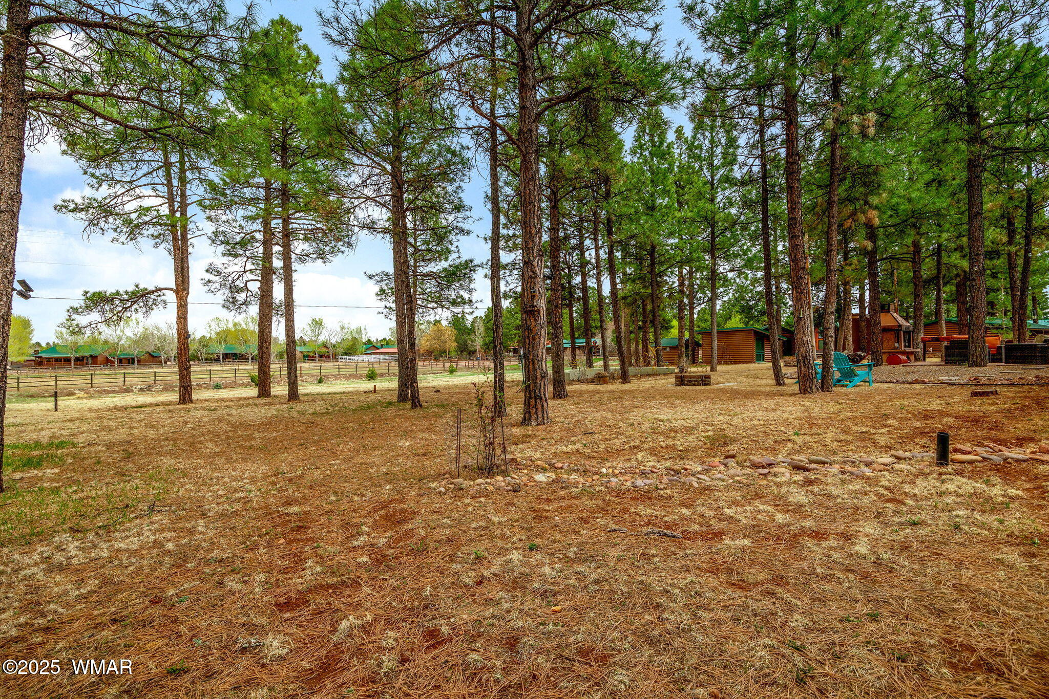 2296 Bison Rnch Trail Overgaard, AZ 85933 - Photo 33 of 49 MATURE TREES ON THE LOT