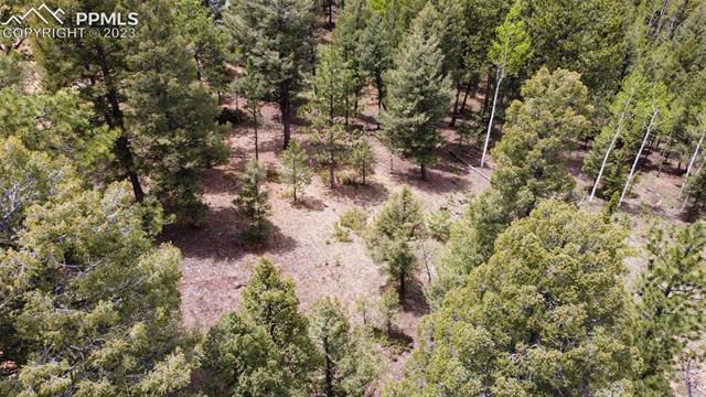 595 Ridge Road Divide, CO 80814 - Photo 4 of 12 Gallery Image 4