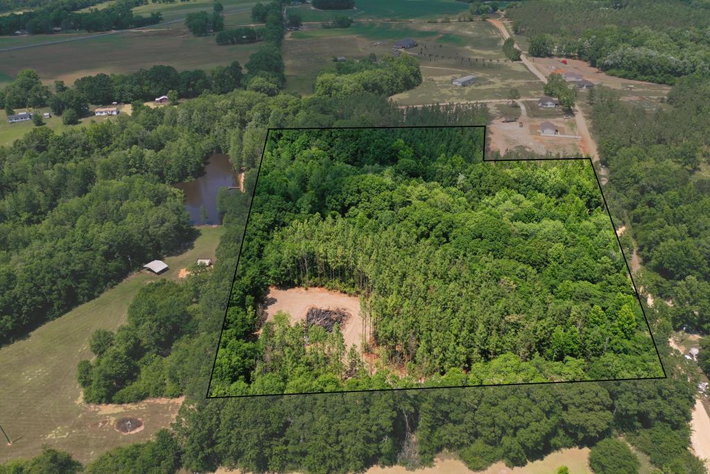 0 South Watford Road Slocomb, AL 36375 - Photo 1 of 14