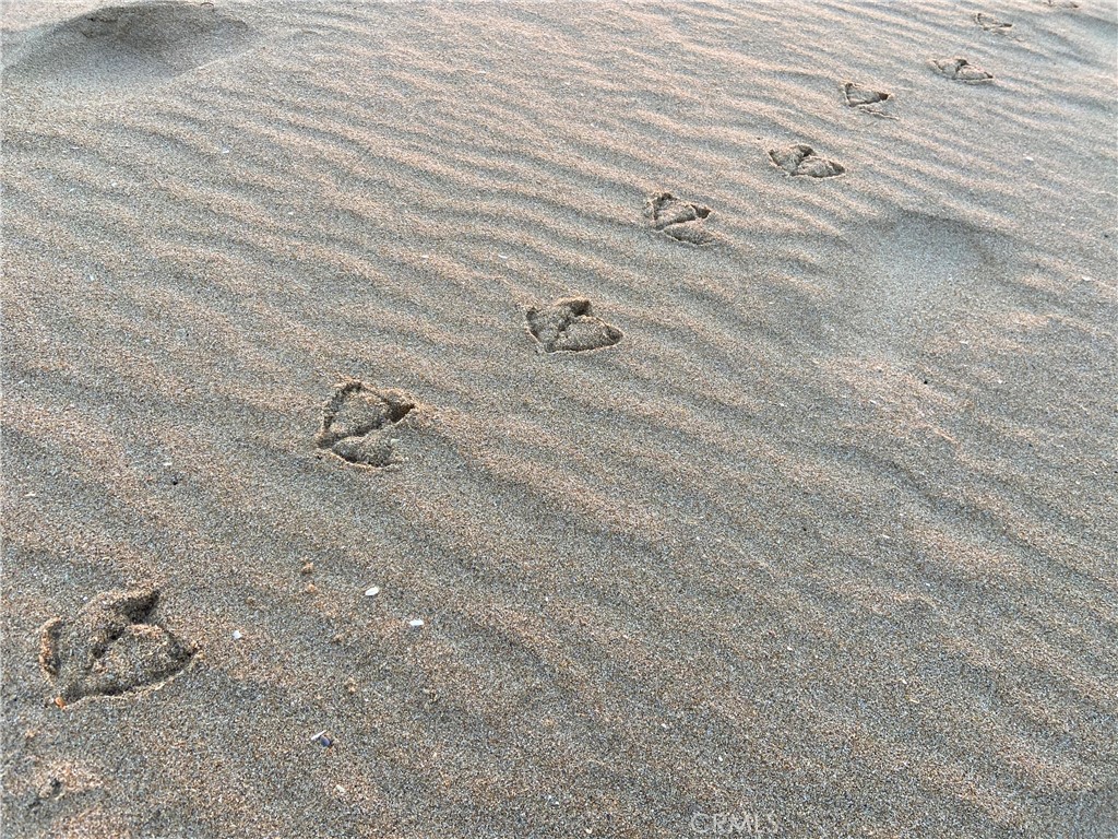 1720 West Oceanfront, Unit B Newport Beach, CA 92663 - Photo 22 of 28 a close view of shower tap