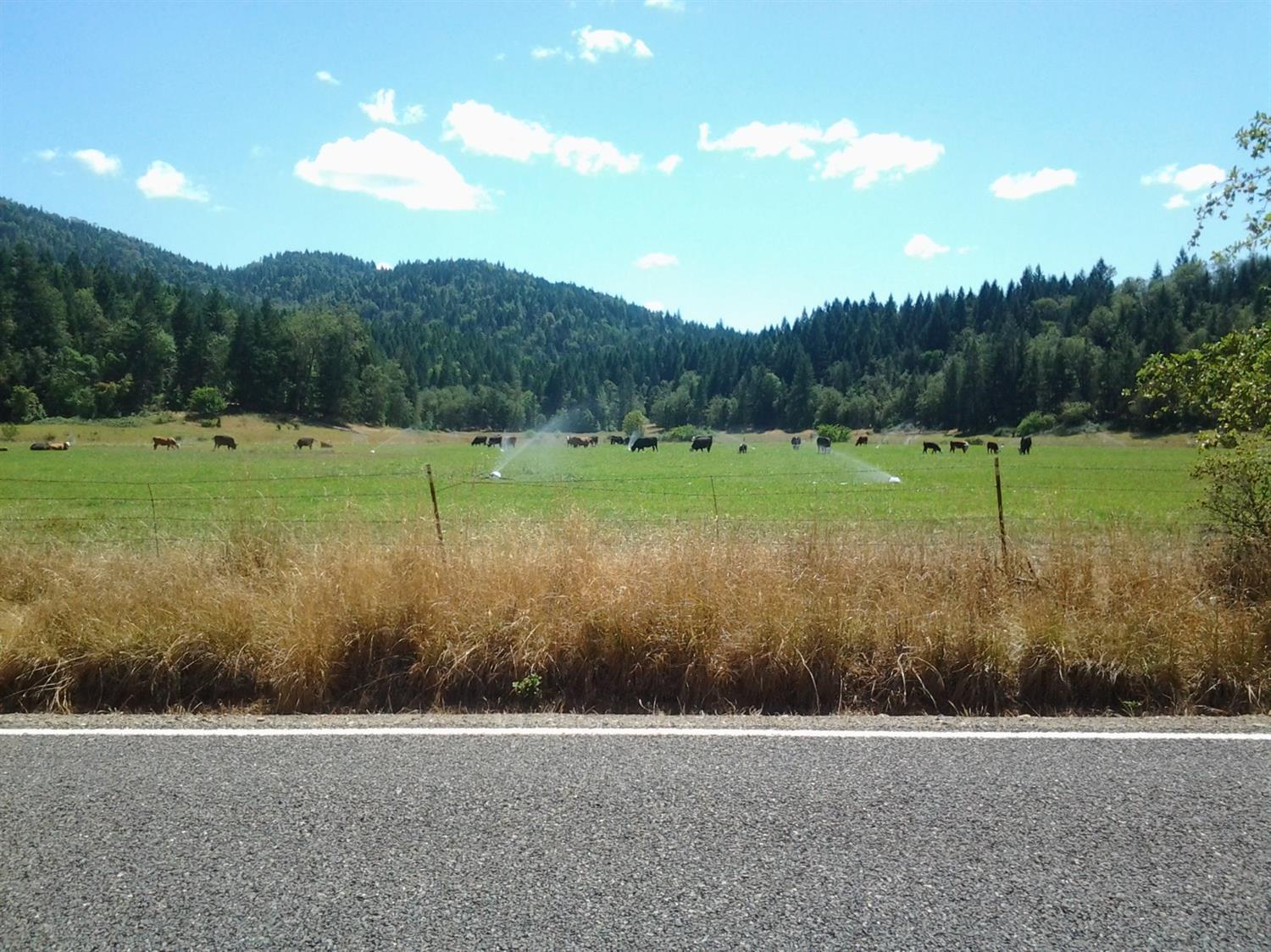 2581 Dick George Road Cave Junction, OR 97523 - Photo 8 of 27 Gallery Image 8