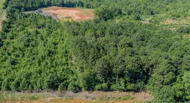 a view of a yard with plants and a small yard