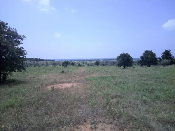 a view of a field with trees in background