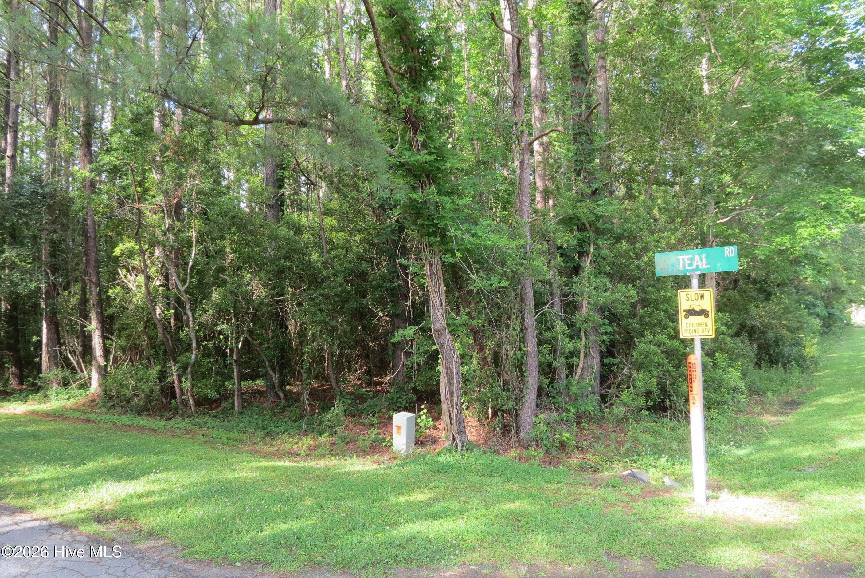 20 Teal Road Merritt, NC 28556 - Photo 2 of 22 IMG_2920