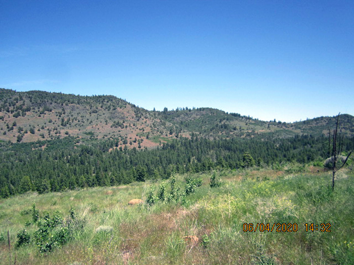 38 Twp Rnge 9 Sec 9 Sw4nw4 Road Klamath Falls, OR 97601 - Photo 8 of 19 Anderson-03