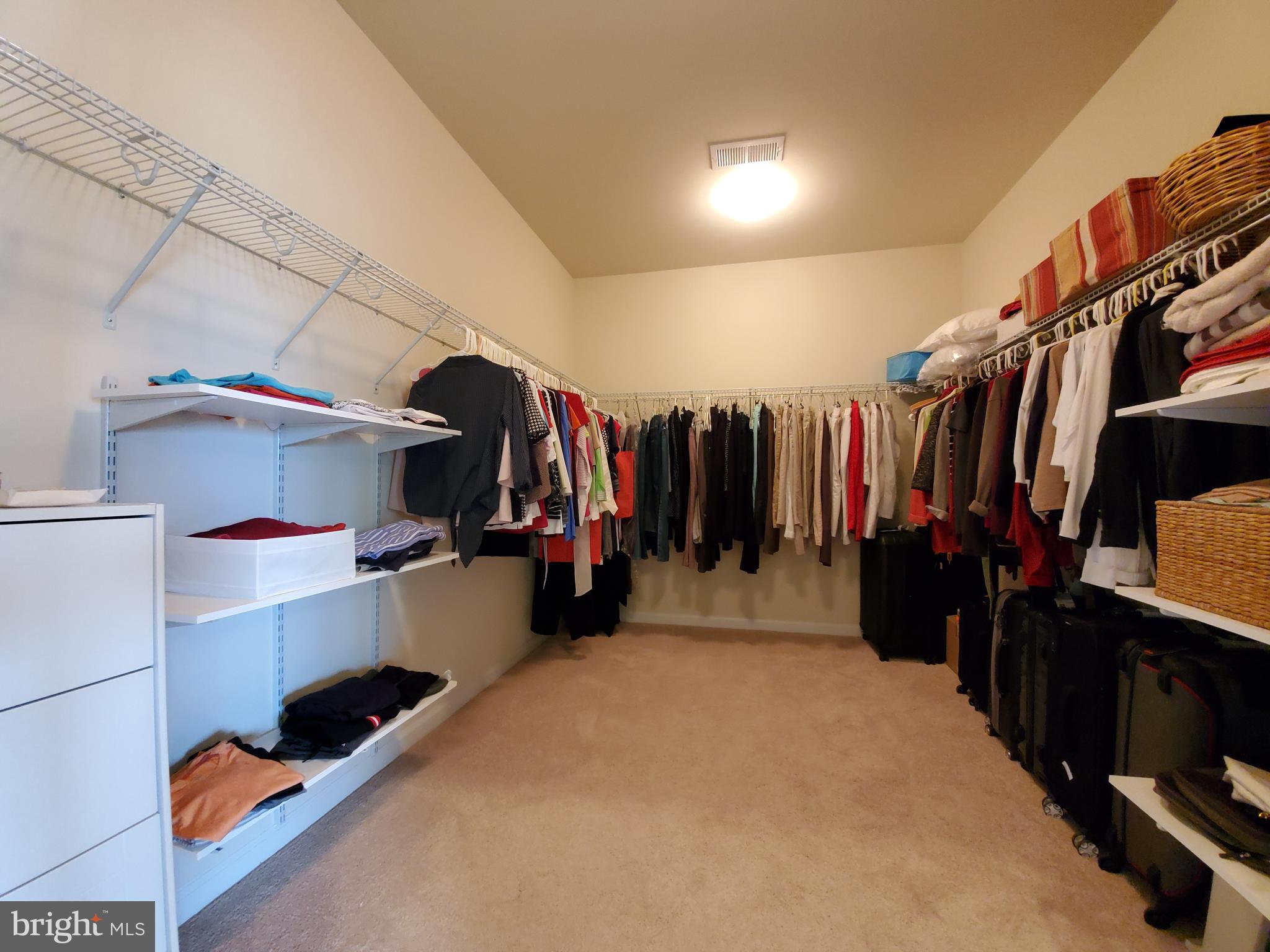 41882 Scotchbridge Place Ashburn, VA 20148 - Photo 35 of 89 Big closets. Need more clothes!