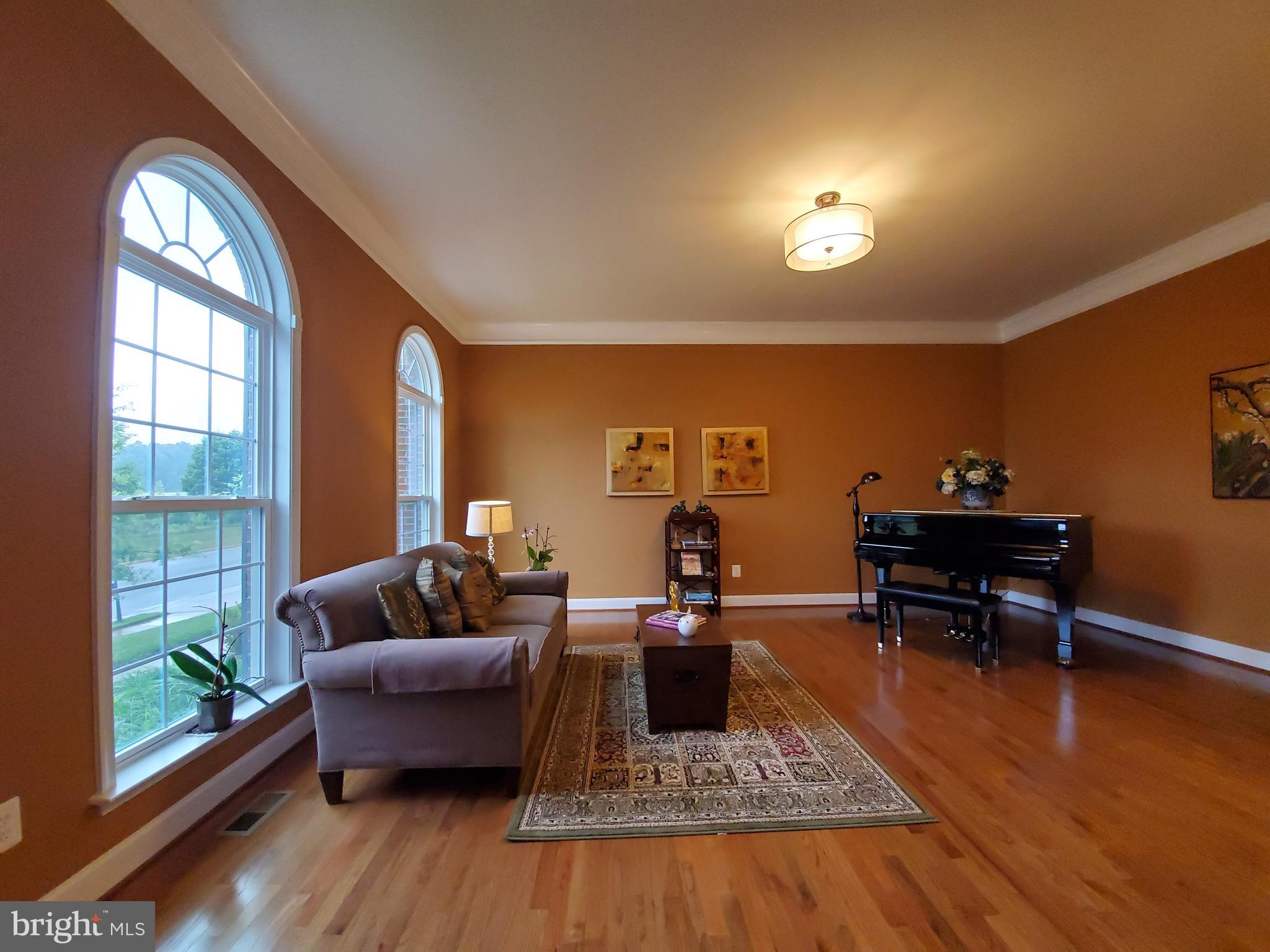 41882 Scotchbridge Place Ashburn, VA 20148 - Photo 5 of 89 Arched windows bring in more light.