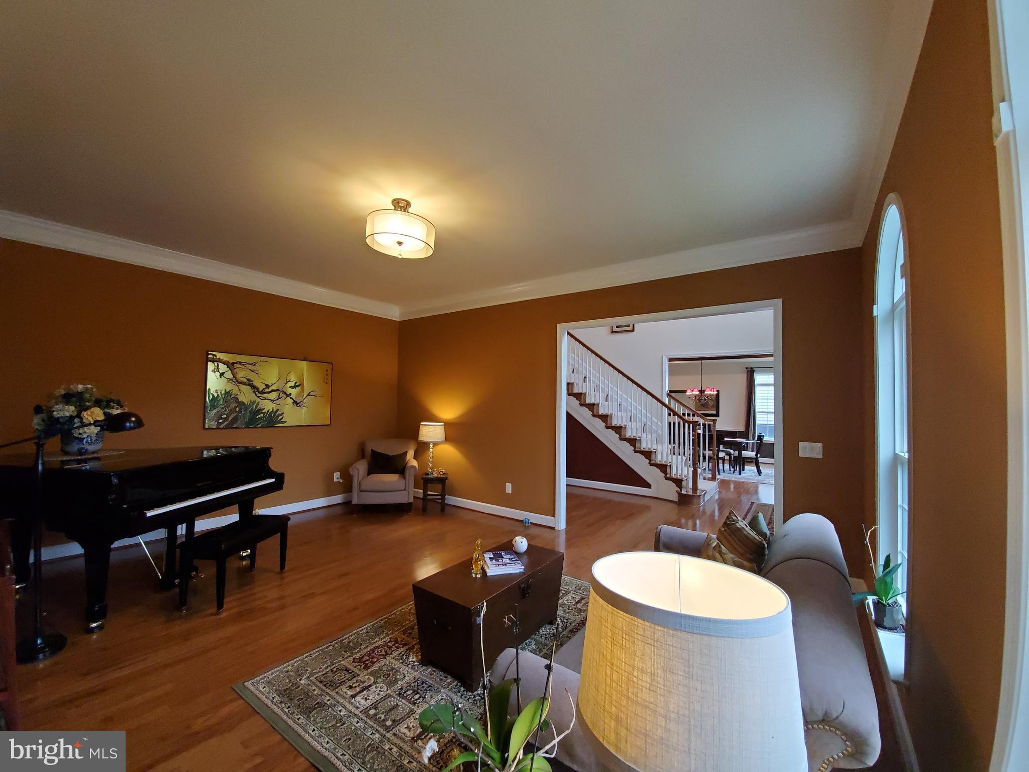 41882 Scotchbridge Place Ashburn, VA 20148 - Photo 7 of 89 Tasteful custom paint and trim.