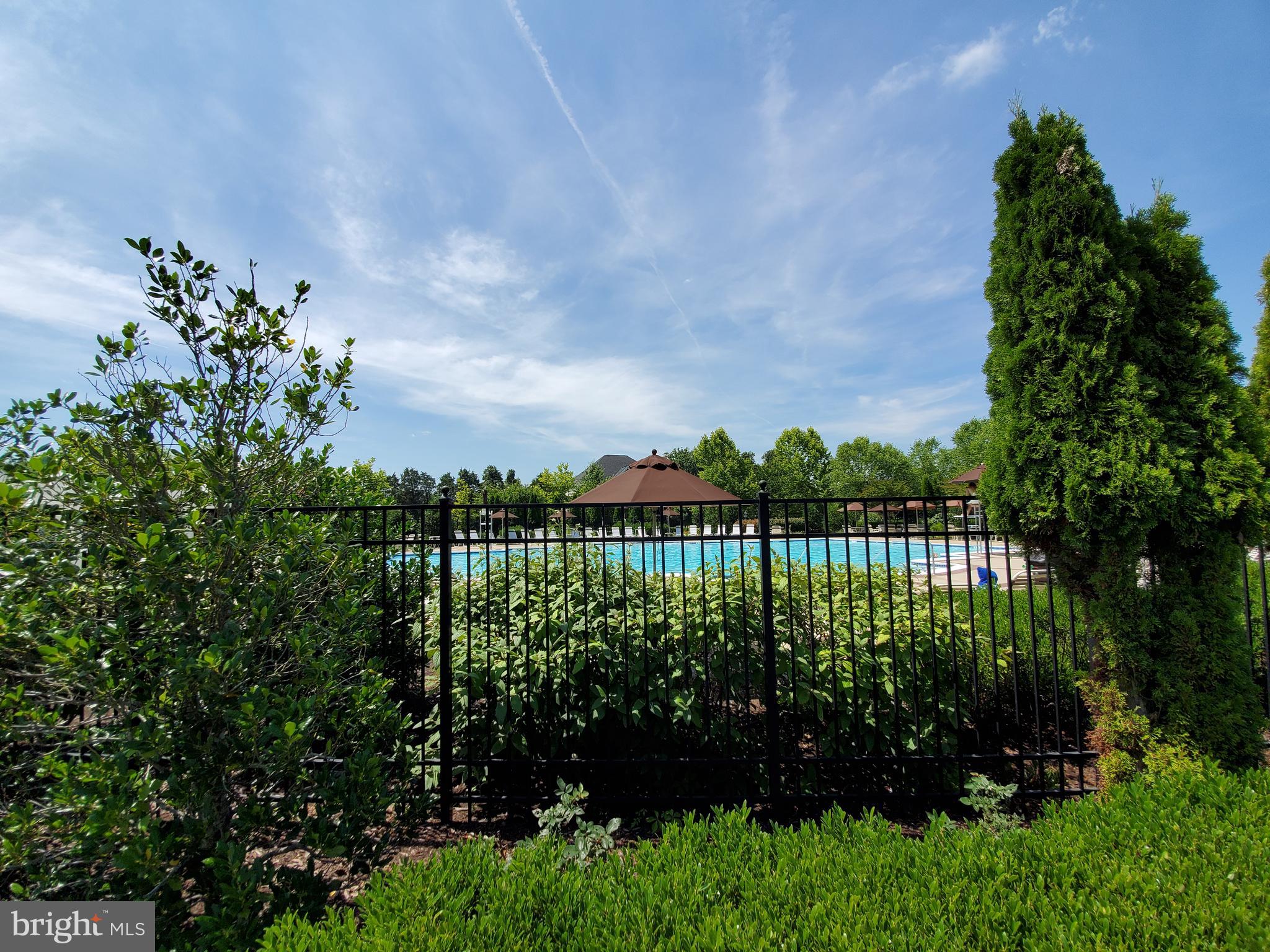 41882 Scotchbridge Place Ashburn, VA 20148 - Photo 85 of 89 The large pool.