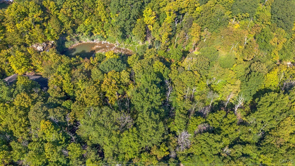 2b Pompey Center Road Manlius, NY 13104 - Photo 2 of 12 Gallery Image 2