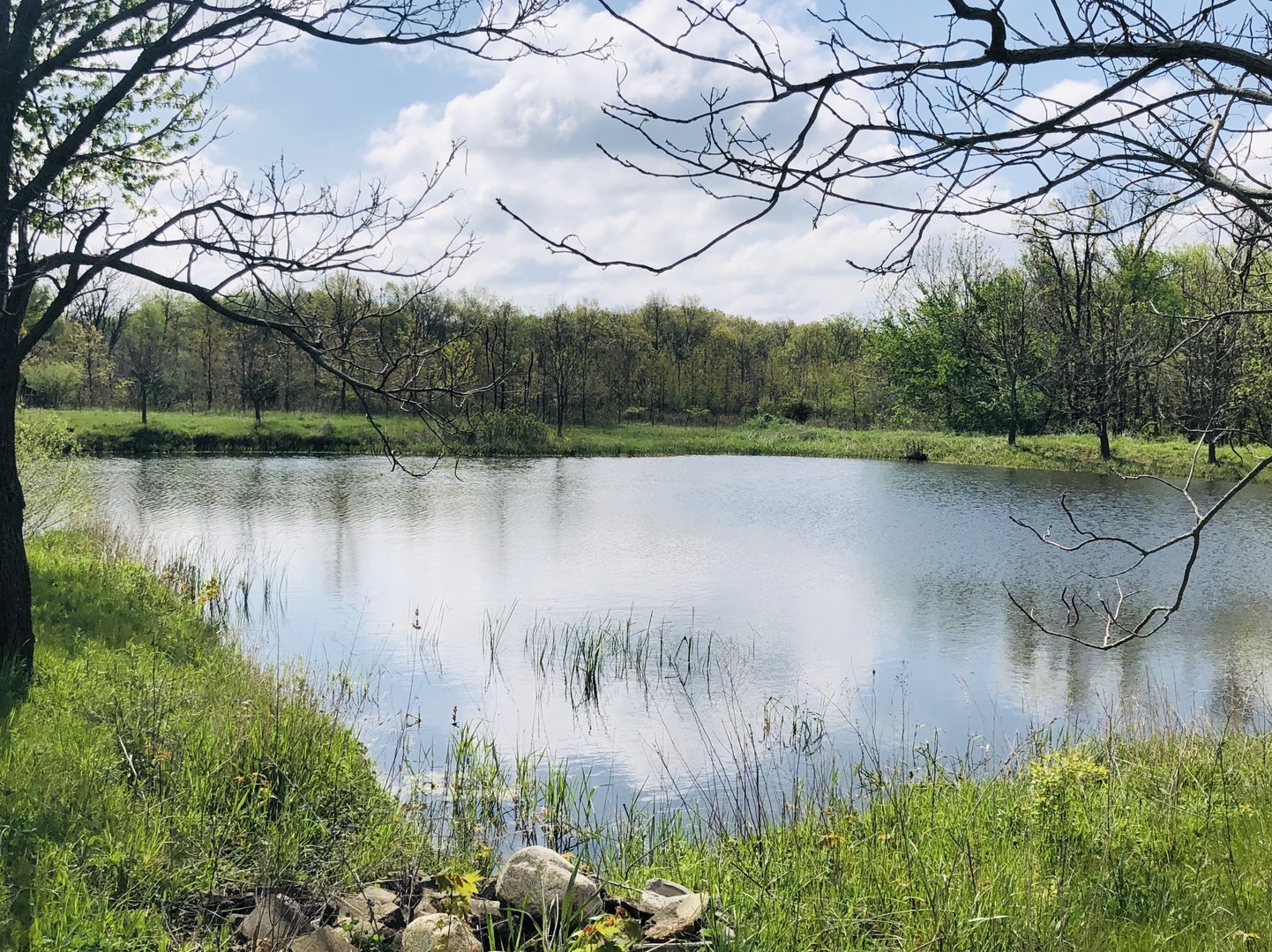 a view of a lake in between the lush green forest