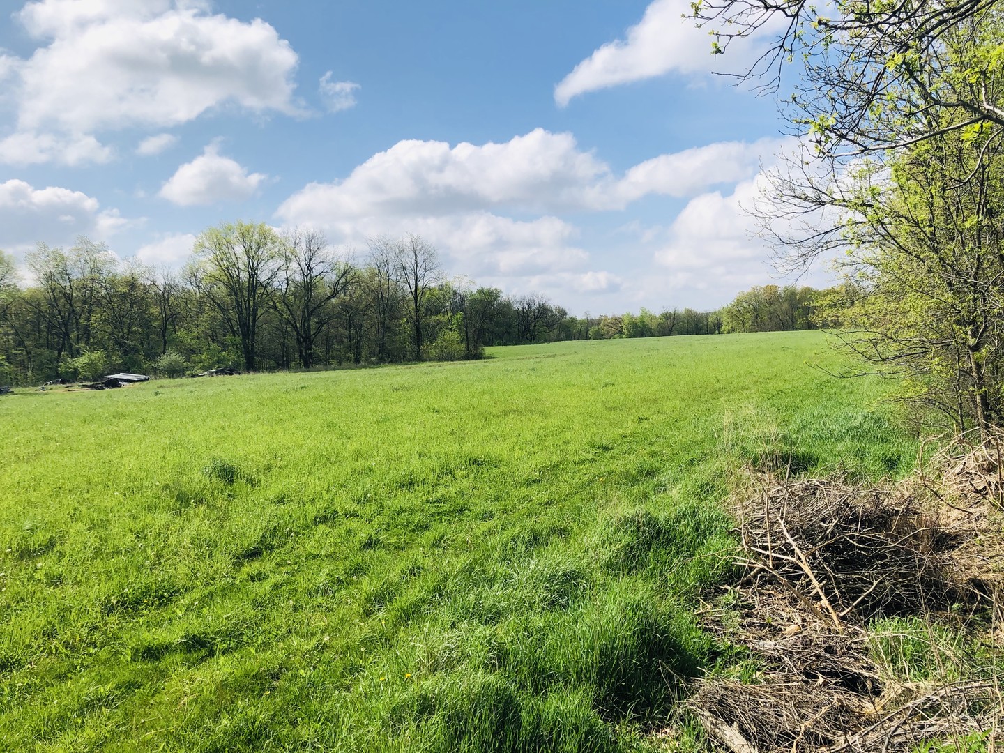 5200 Seven Hills Road Clinton, IL 61727 - Photo 16 of 19 a view of a field with an trees