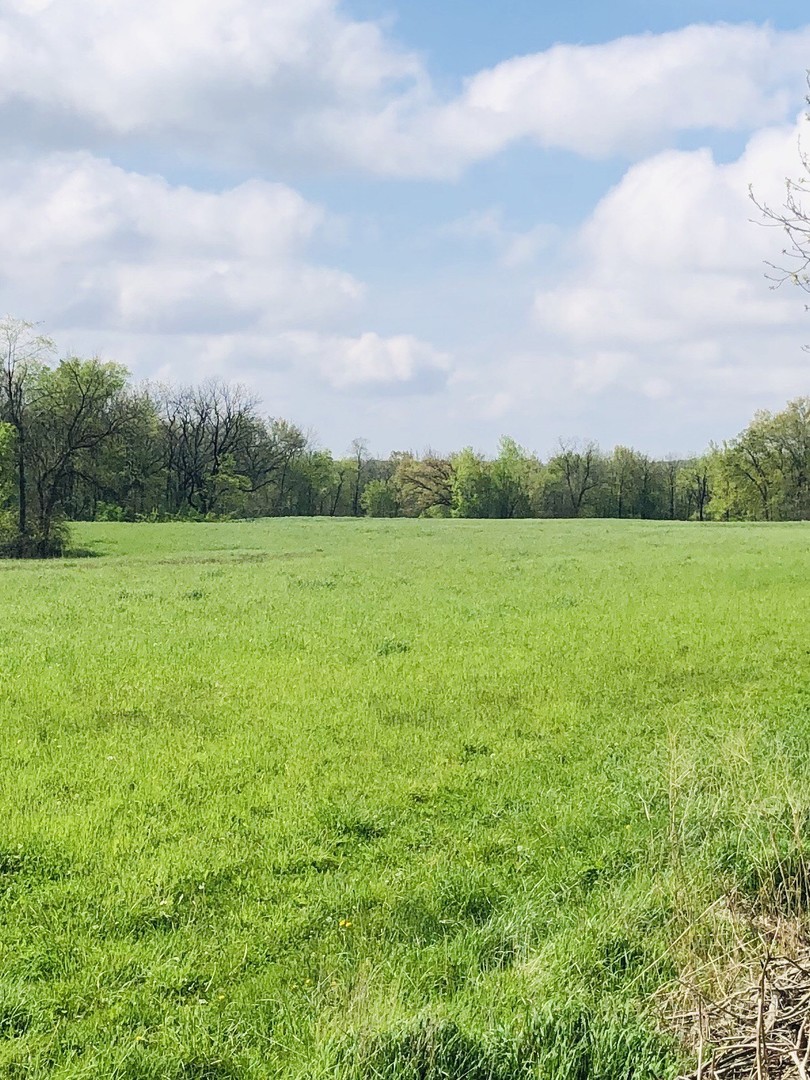 5200 Seven Hills Road Clinton, IL 61727 - Photo 17 of 19 a view of a field with an ocean