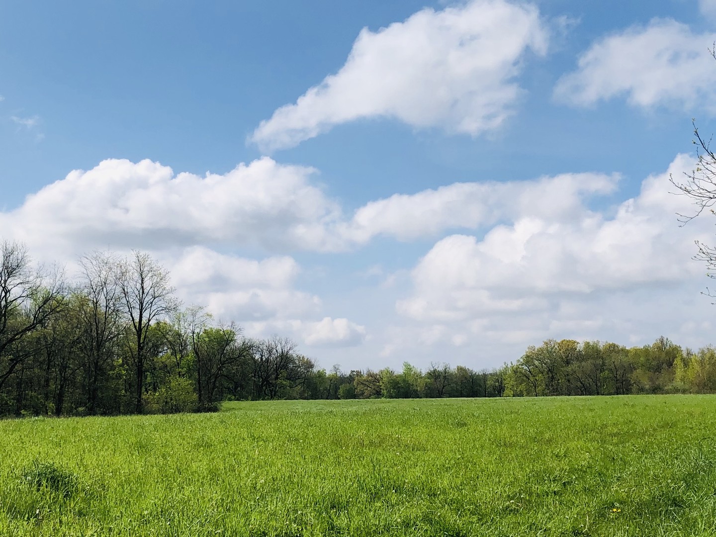 5200 Seven Hills Road Clinton, IL 61727 - Photo 18 of 19 a view of grassy field and trees