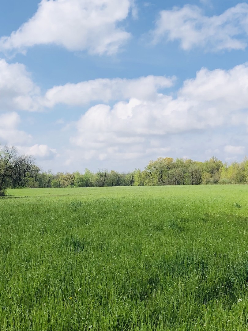 5200 Seven Hills Road Clinton, IL 61727 - Photo 19 of 19 a view of field with green space