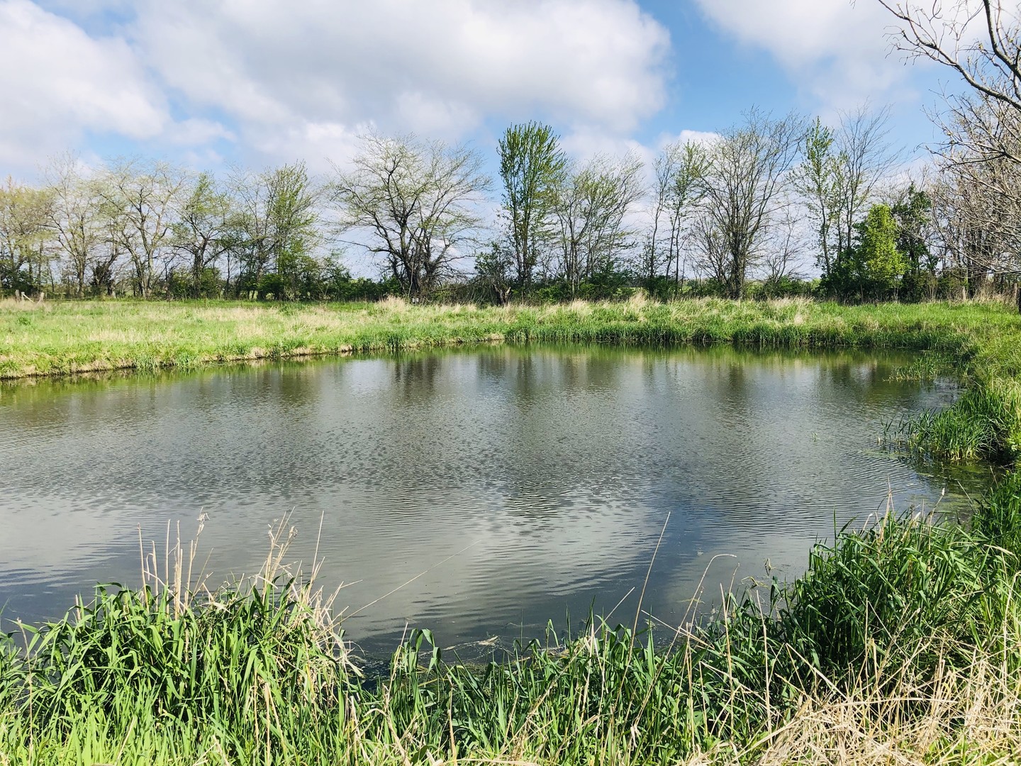 5200 Seven Hills Road Clinton, IL 61727 - Photo 8 of 19 a view of a lake with a building in the background