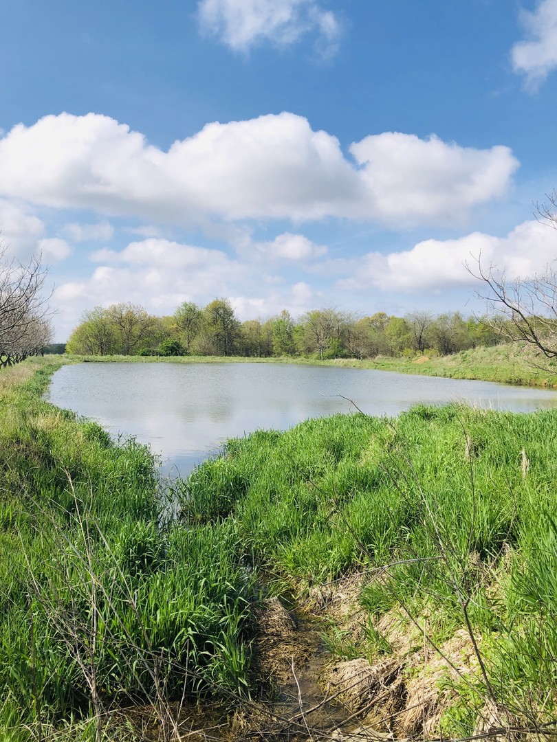 5200 Seven Hills Road Clinton, IL 61727 - Photo 9 of 19 a view of a lake with houses in the back