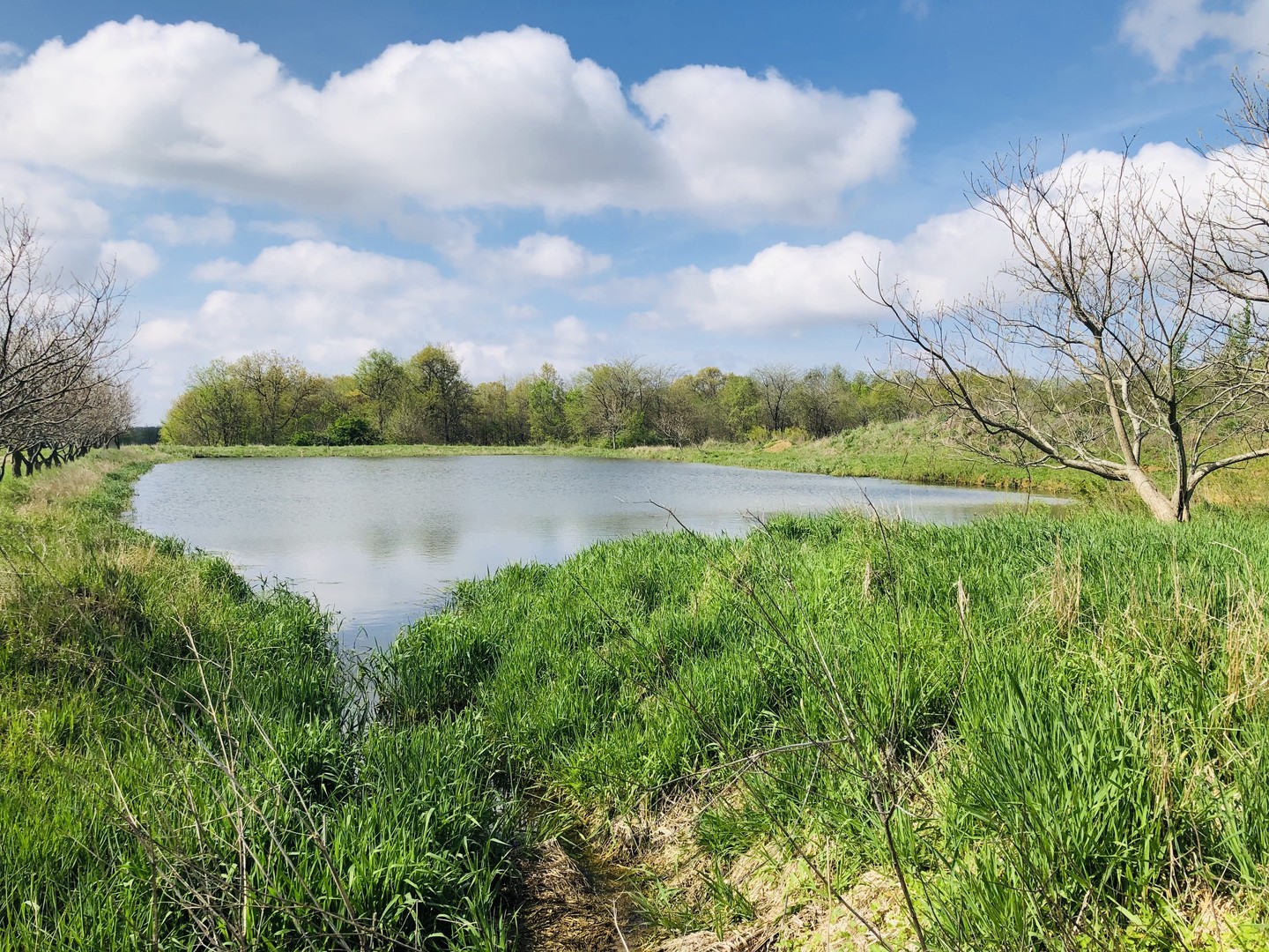 5200 Seven Hills Road Clinton, IL 61727 - Photo 10 of 19 a view of lake with houses in the back