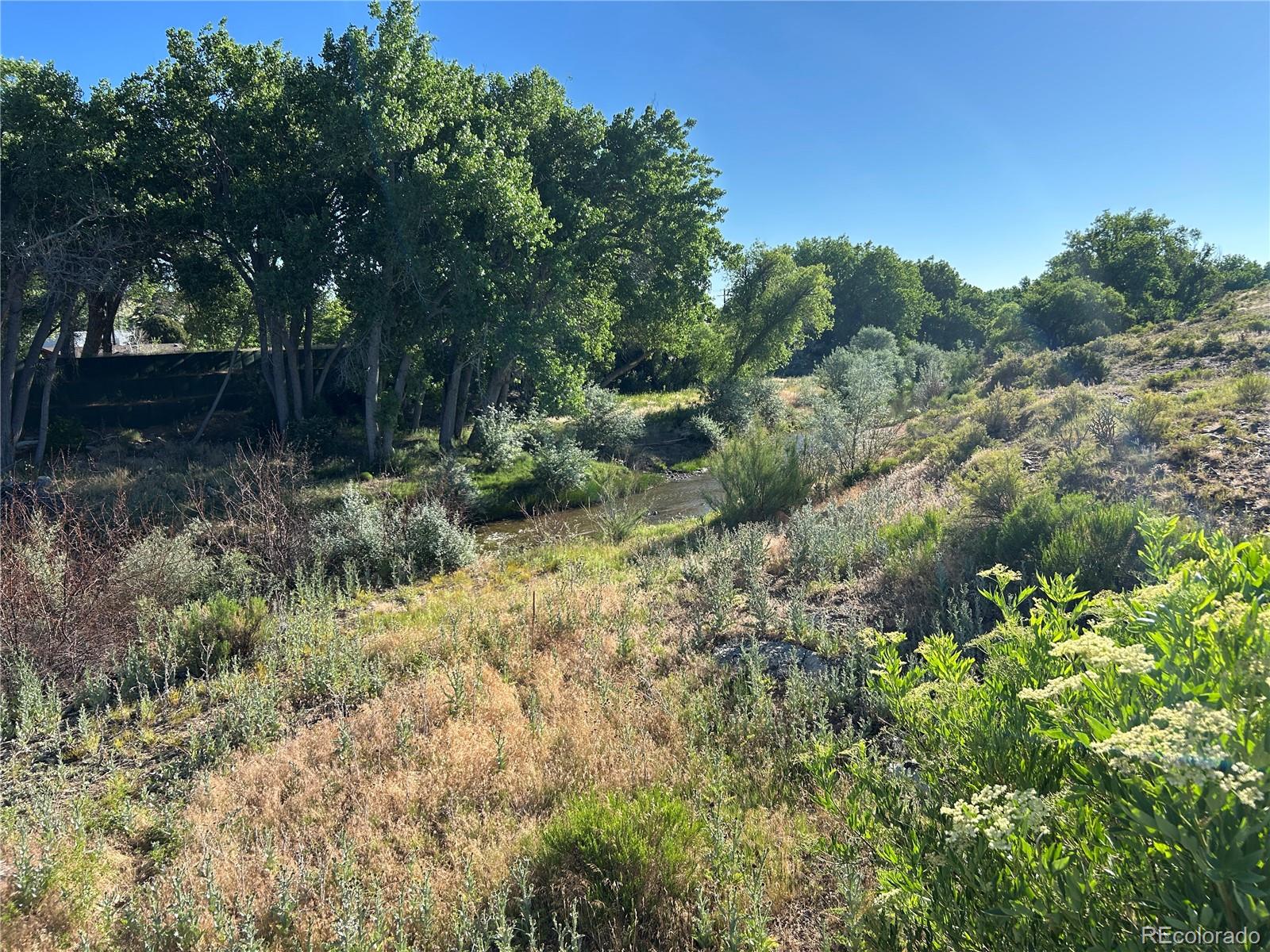 Tract B Tract B City Ranch Walsenburg, CO 81089 - Photo 18 of 32 a view of a forest filled with trees