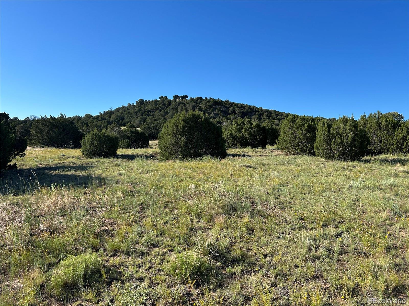 Tract B Tract B City Ranch Walsenburg, CO 81089 - Photo 9 of 32 a view of mountain with lake view