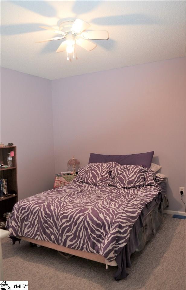 2 Glimmering Place Fountain Inn, SC 29644 - Photo 10 of 19 Gallery Image 10