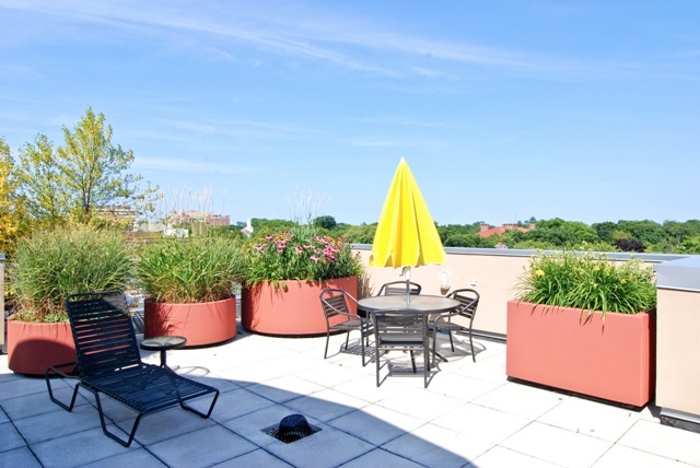 1236 Chicago Avenue, Unit 505 Evanston, IL 60202 - Photo 20 of 22