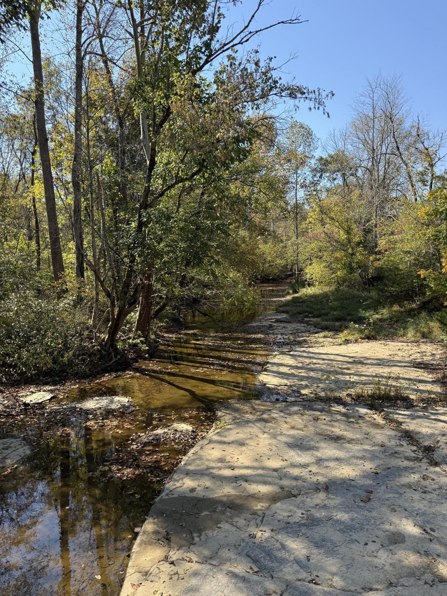1660 Crocus Road Jamestown, KY 42629 - Photo 12 of 14 Crocus Creek bed.... near the property