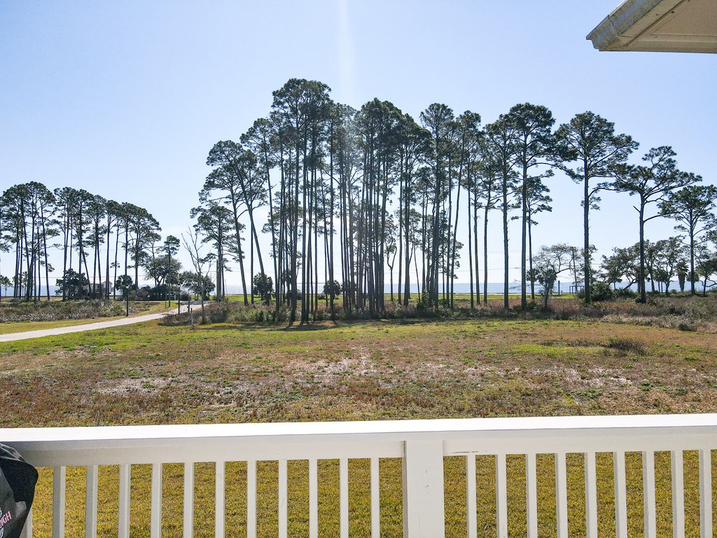 110 Shell Bay Court Carrabelle, FL 32322 - Photo 3 of 43