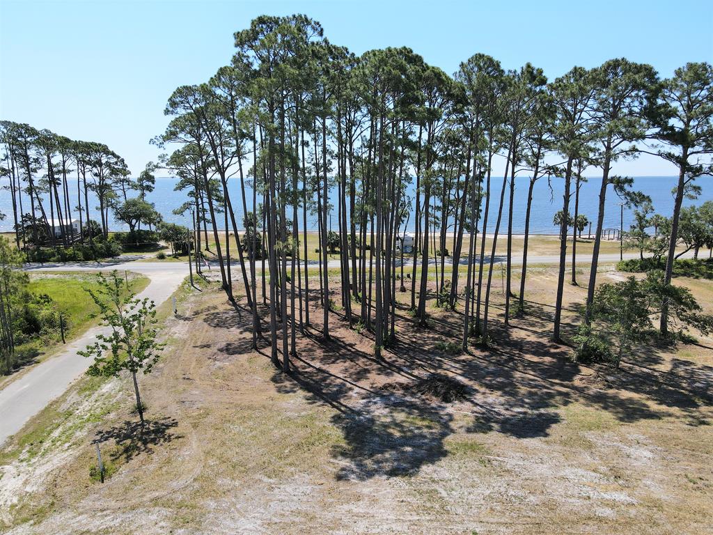 110 Shell Bay Court Carrabelle, FL 32322 - Photo 36 of 43