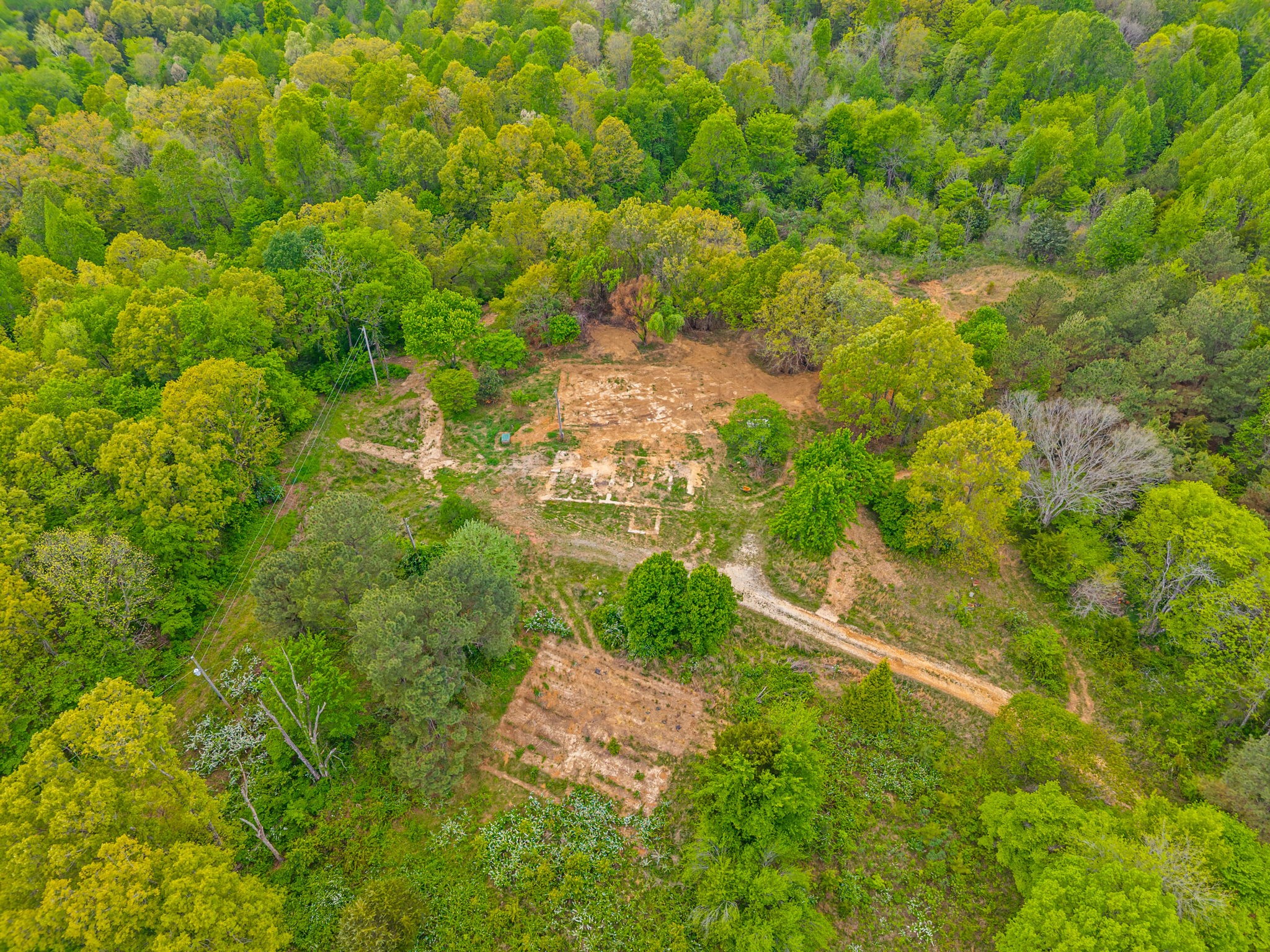 208 Tomsic Road Indian Mound, TN 37079 - Photo 16 of 40 Gallery Image 16