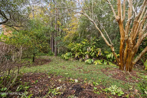 a big yard with lots of green space and bench